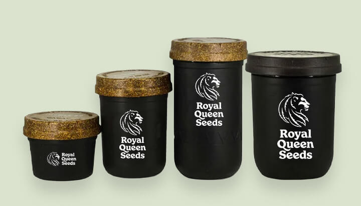 Moderne Royal Queen Seeds-containers in verschillende maten. Illustreert hoe cannabisverpakking is geëvolueerd om de productkwaliteit beter te behouden.