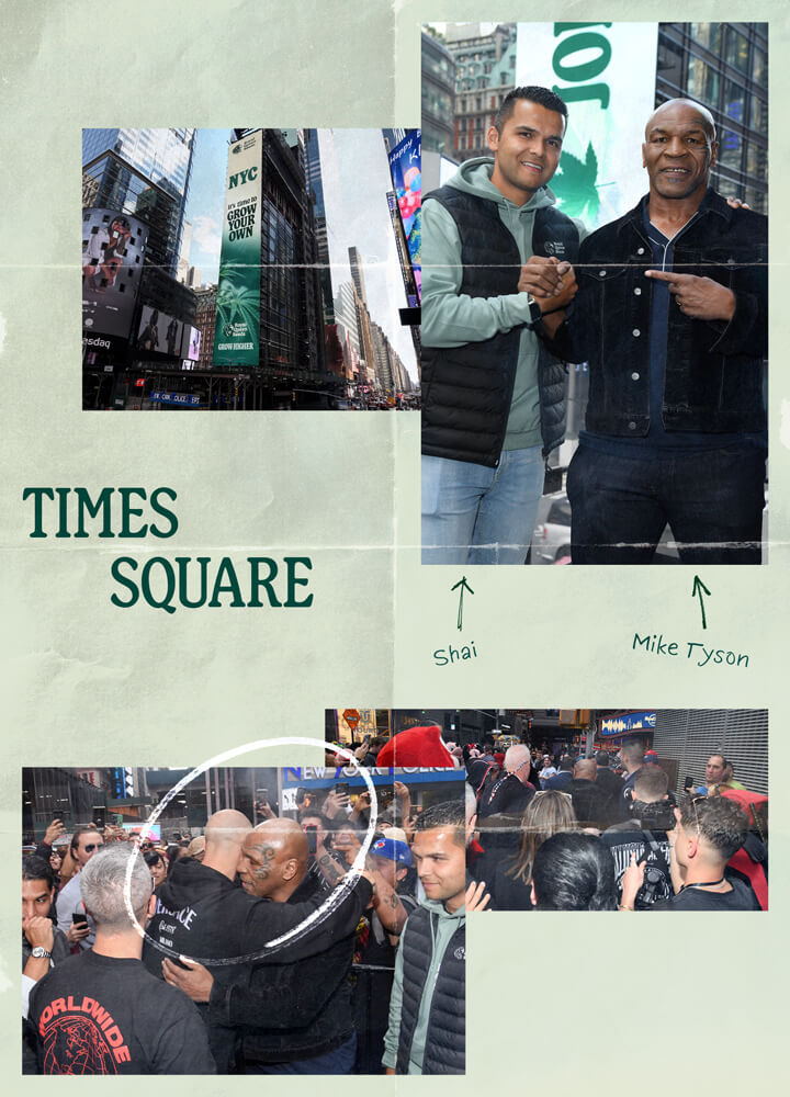 "Een collage van foto's gerelateerd aan Times Square in New York City, met het iconische Times Square-billboard, een foto van Mike Tyson en beelden van mensen die genieten van de levendige sfeer van Times Square.  "