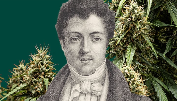 Zwart-wit portret van Alexandre Dumas met een groene achtergrond, omringd door cannabisplanten rondom de iconische schrijver.