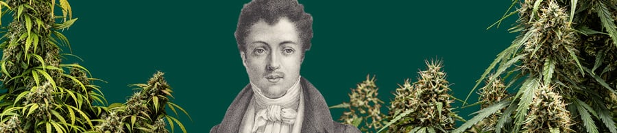 Zwart-wit portret van Alexandre Dumas met een groene achtergrond, omringd door cannabisplanten rondom de iconische schrijver.