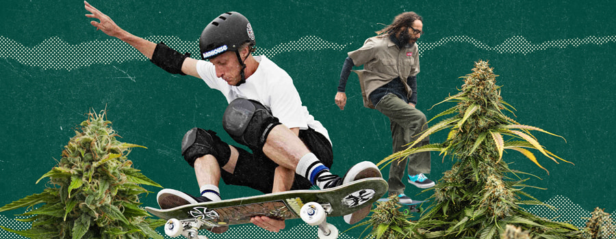 Kruising tussen cannabiscultuur en skateboarden.