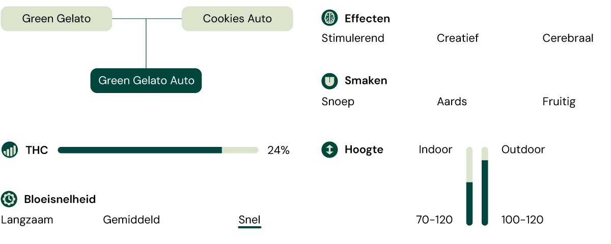 Green Gelato Auro Characteristics