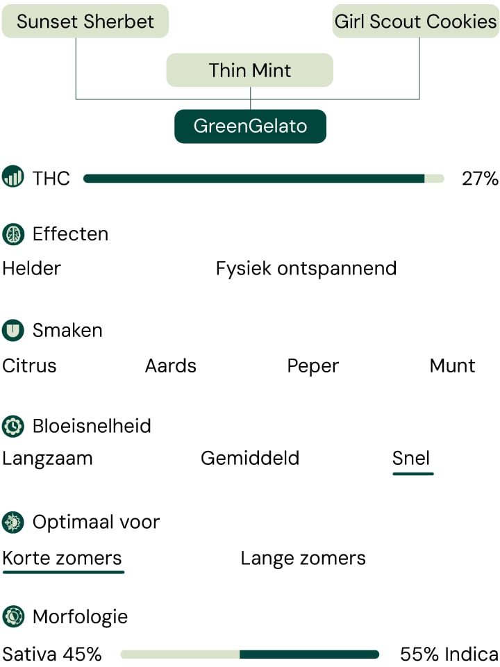 Green Gelato Characteristics