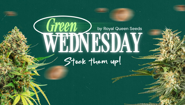 Green Wednesday 2024 promotiebanner van Royal Queen Seeds met cannabis toppen, met de zin 'Sla ze in!'