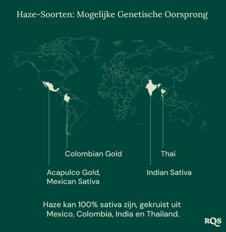 Wereldkaart die de mogelijke oorsprong van Haze-cannabissoorten toont, met lijnen die Mexico, Colombia, India en Thailand verbinden met een centraal punt genaamd 