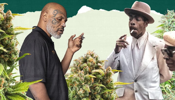 "Een foto van Mike Tyson en een andere persoon die in een weelderig cannabisveld staan, omringd door hoge groene planten, wat de verbinding met cannabisteelt benadrukt. "