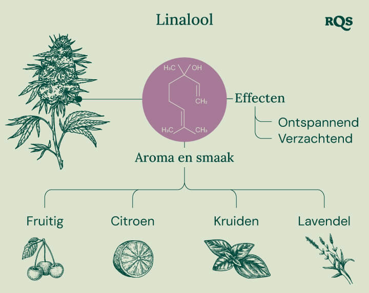 Linalool Characteristics