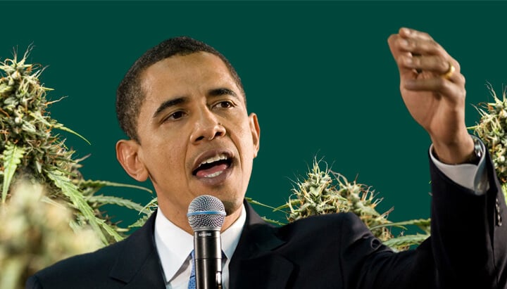 Een portret van Barack Obama die in een microfoon spreekt met zijn hand omhoog, tegen een groene achtergrond met cannabisplanten.