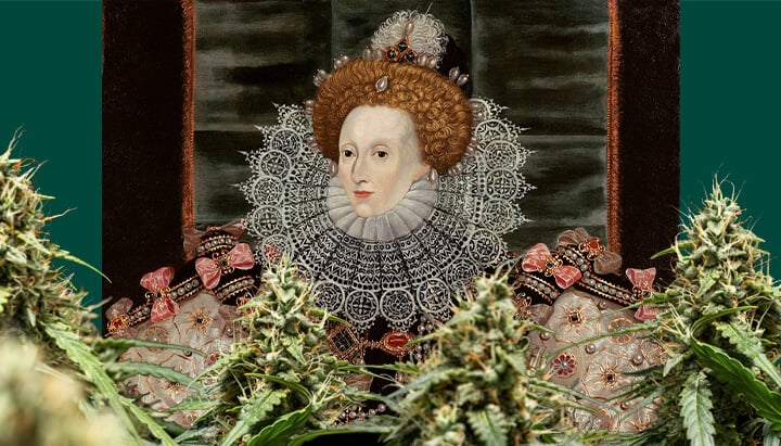 Een kleurrijk portret van Koningin Elizabeth I, gecentreerd en ingelijst door cannabisplanten met dichte toppen, tegen een donkergroene achtergrond.