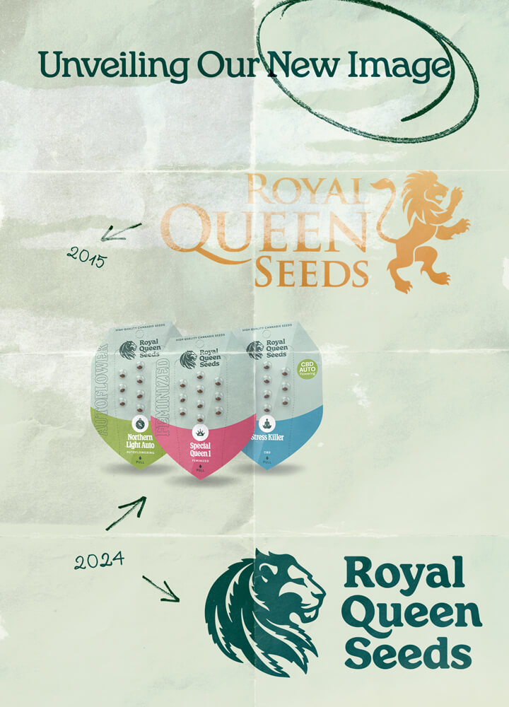 "De evolutie van het Royal Queen Seeds-logo van 2015 tot 2024, met het oorspronkelijke gouden logo met een leeuw en het bijgewerkte groene logo met een modern leeuwendesign. De afbeelding toont ook de nieuwe zaadverpakking van het bedrijf.  "