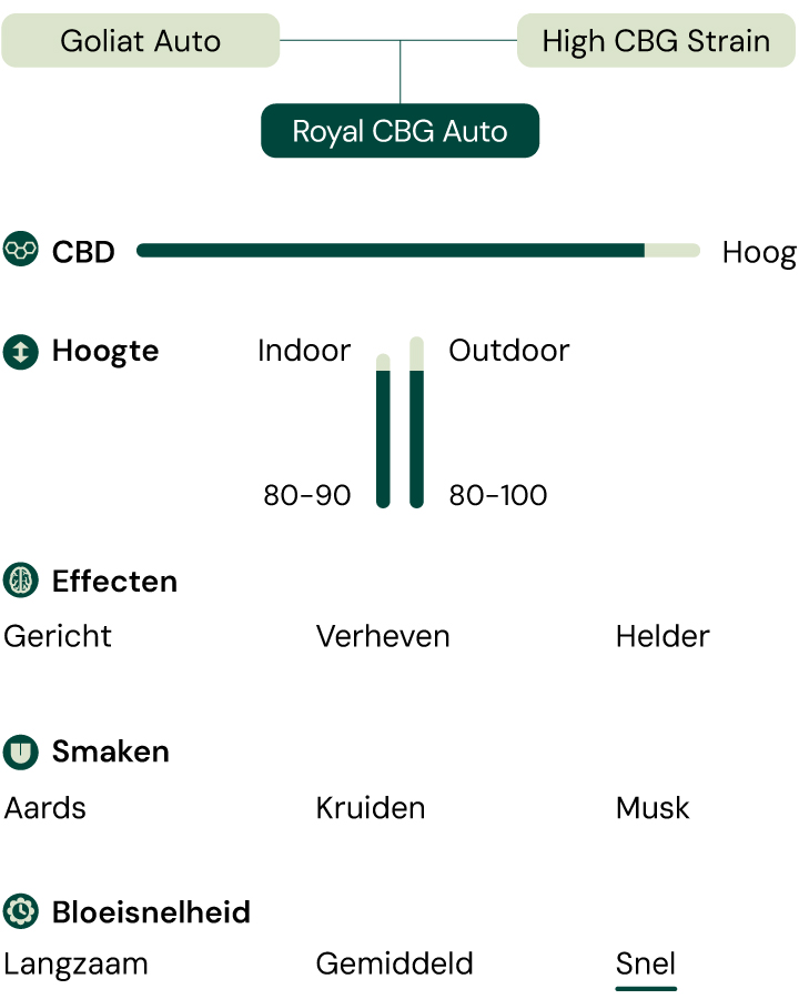 Infographic met de kenmerken van de Royal CBG Auto cannabissoort, inclusief eigenschappen zoals een hoog CBG-gehalte, snelle bloeitijd, compacte hoogte en effecten zoals focus en helderheid.