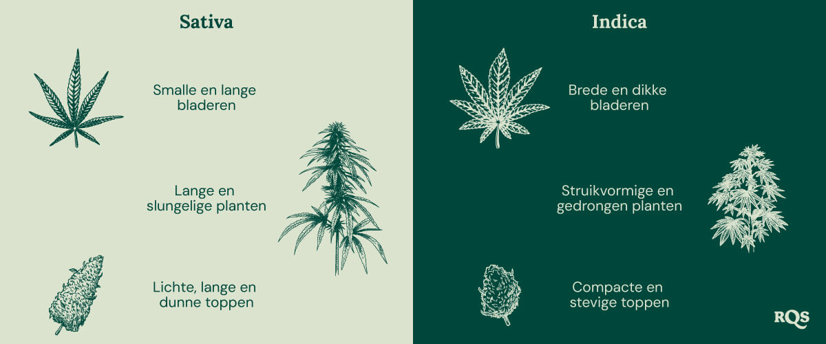 De basis van het buitenkweken (Deel 1)