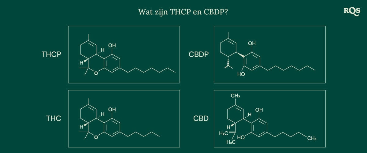 Chemische structuren van vier cannabinoïden: THCP, CBDP, THC en CBD, inclusief de recent ontdekte THCP en CBDP.