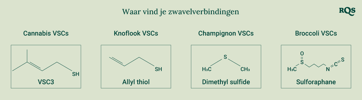 Diagram dat de chemische structuren van zwavelverbindingen toont die in cannabis, knoflook, champignons en broccoli worden aangetroffen, voor een beter begrip van hun unieke eigenschappen.