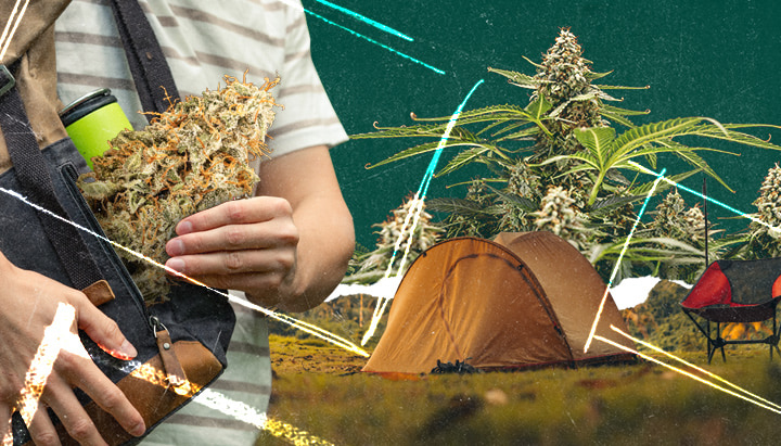 Een persoon houdt een tak van een cannabisplant vast bij een tent en kampvuur in een schilderachtig veld. Kampeeruitrusting met de essentials: tent, kampvuur en cannabisplant voor een natuur geïnspireerde uitje.