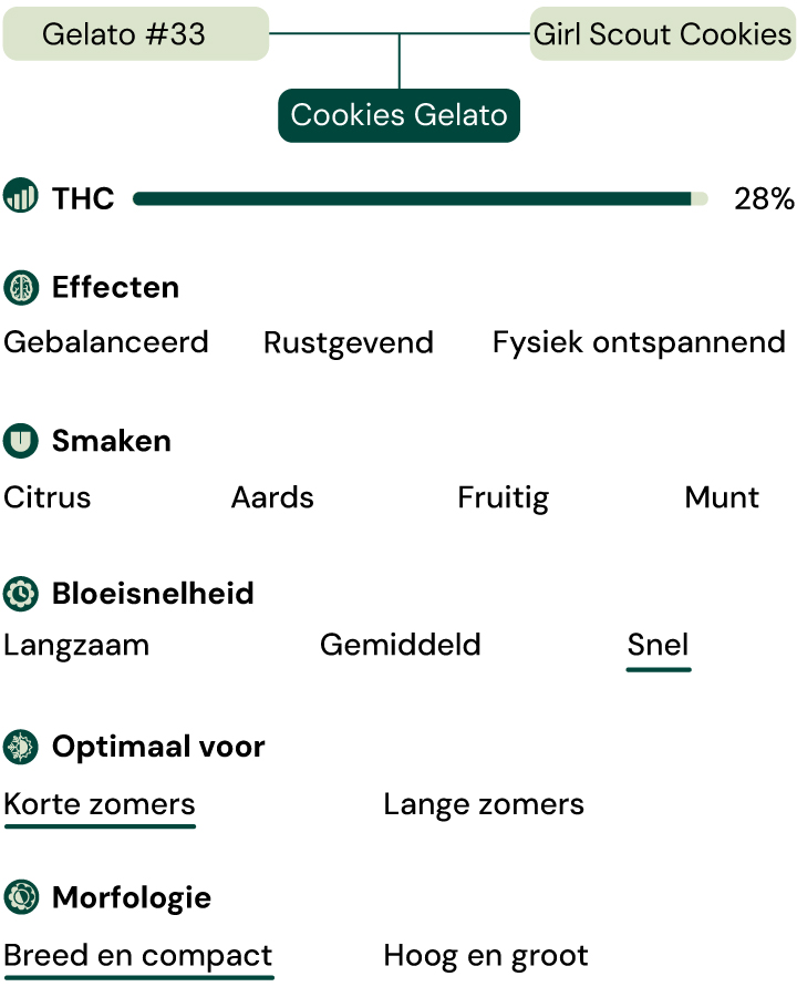 Cookies Gelato Key Attributes