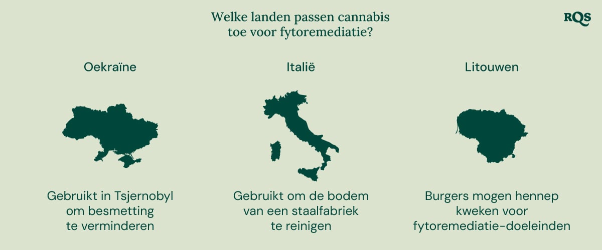 Infographic van landen die cannabis gebruiken voor fytoremediatie: Oekraïne (Tsjernobyl), Italië (staalfabriek) en Litouwen (hennepteelt).