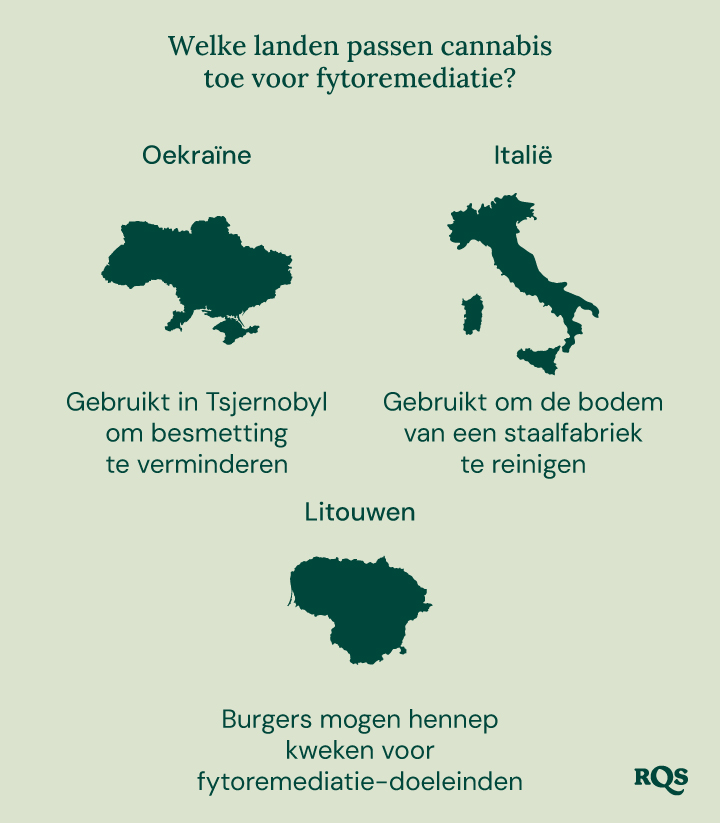 Infographic van landen die cannabis gebruiken voor fytoremediatie: Oekraïne (Tsjernobyl), Italië (staalfabriek) en Litouwen (hennepteelt).