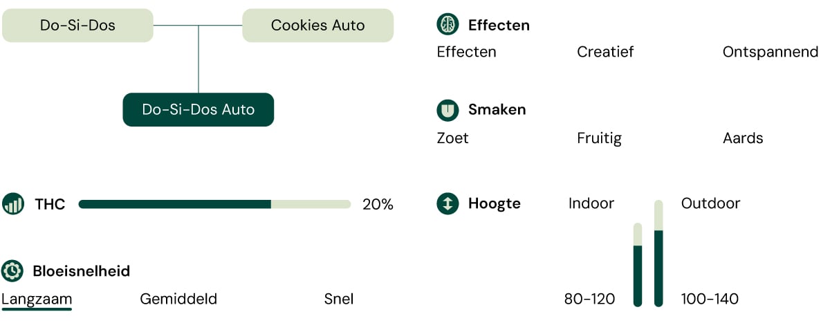 Do-Si-Dos Characteristics