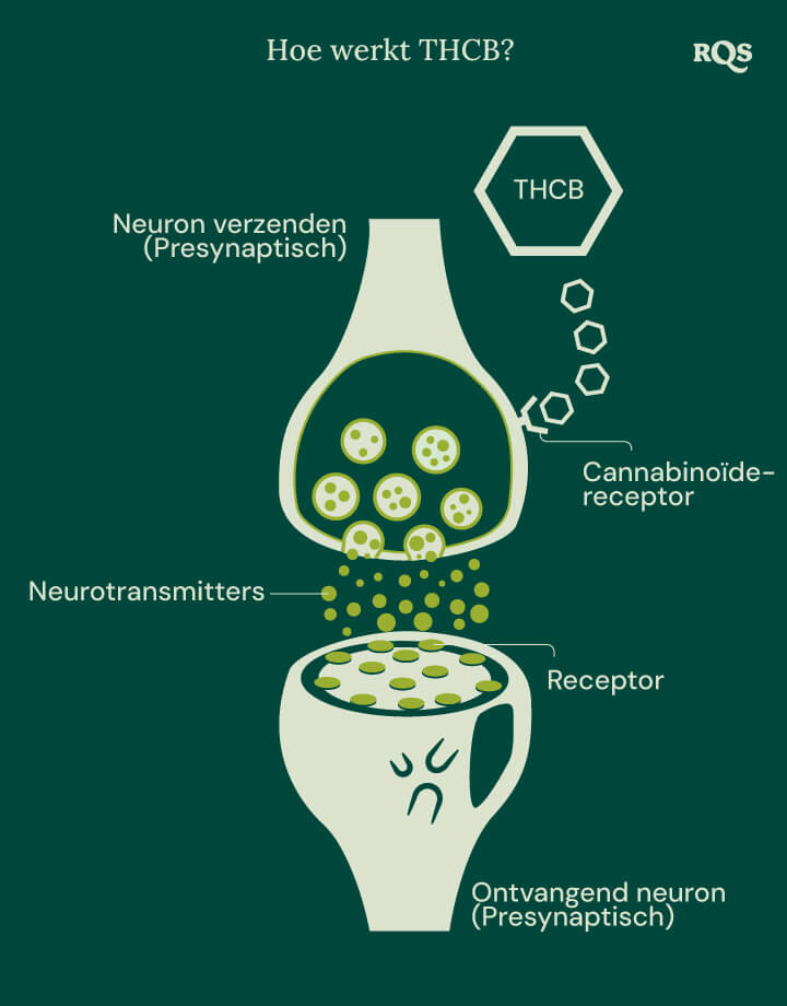 How does THCB work