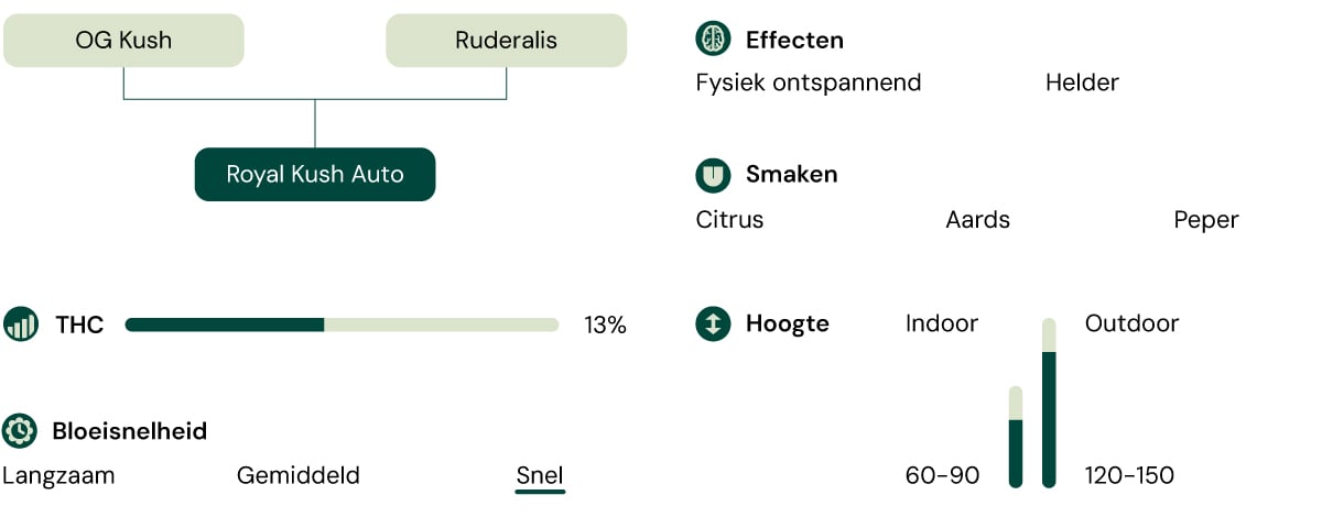 Royal Kush Auto Characteristics