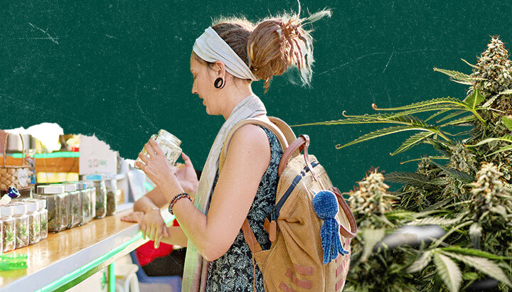 Collage van een vrouw met dreadlocks die een pot vasthoudt in een cannabisapotheek. Donkergroene achtergrond met zichtbare marihuanaplanten aan de rechterkant